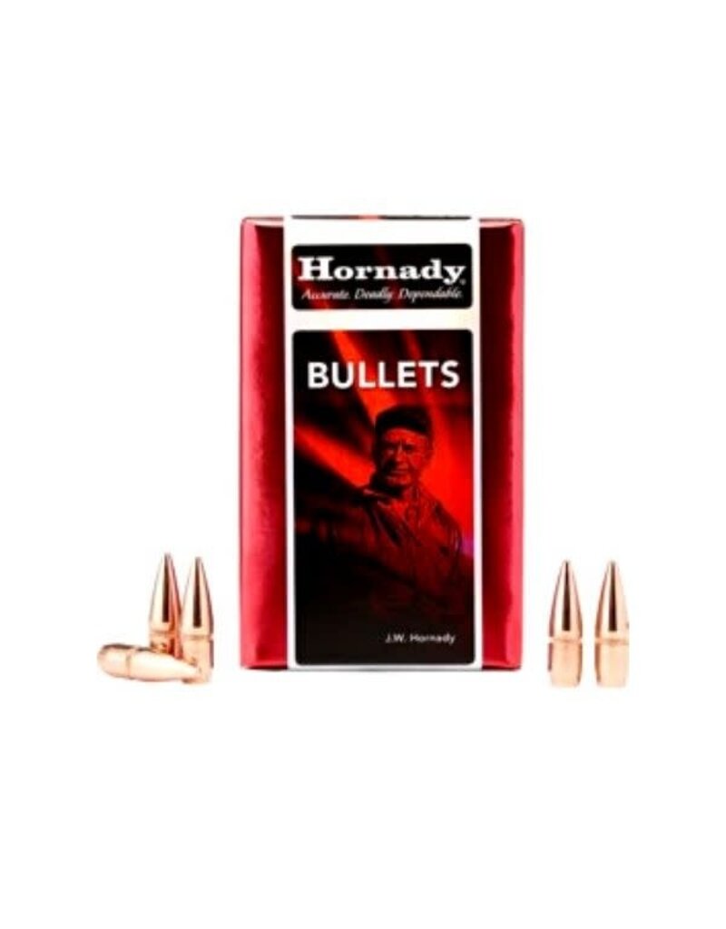 Hornady Hornady Pistol - 45 Cal, 230gr, FMJ, Box of 100 (45177)