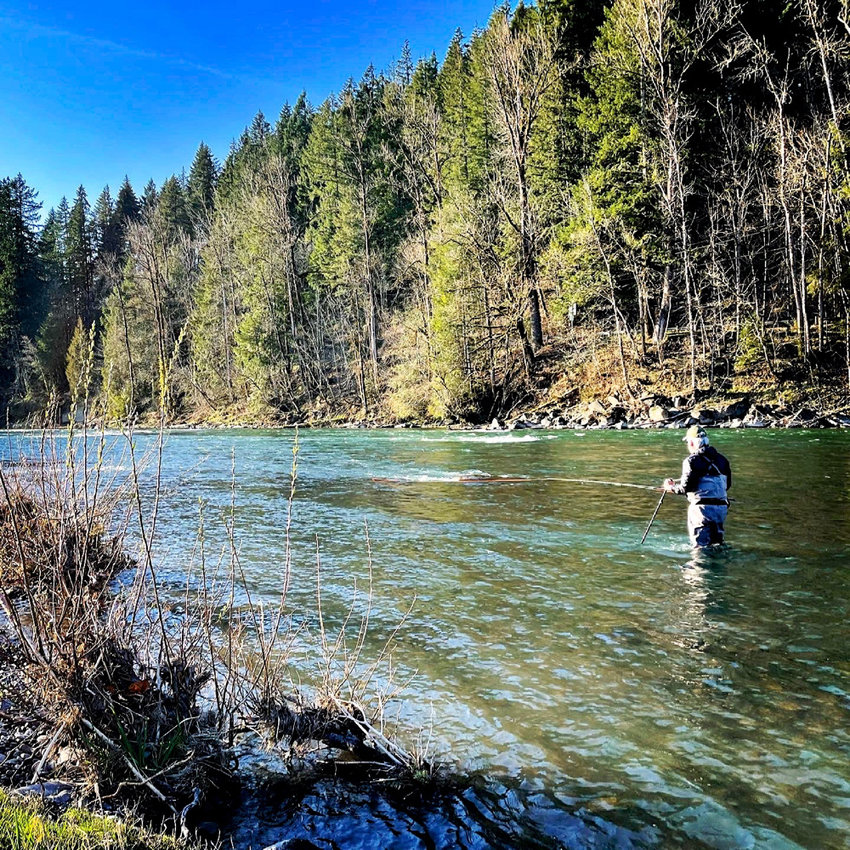 Steelhead - Royal Treatment Fly Fishing