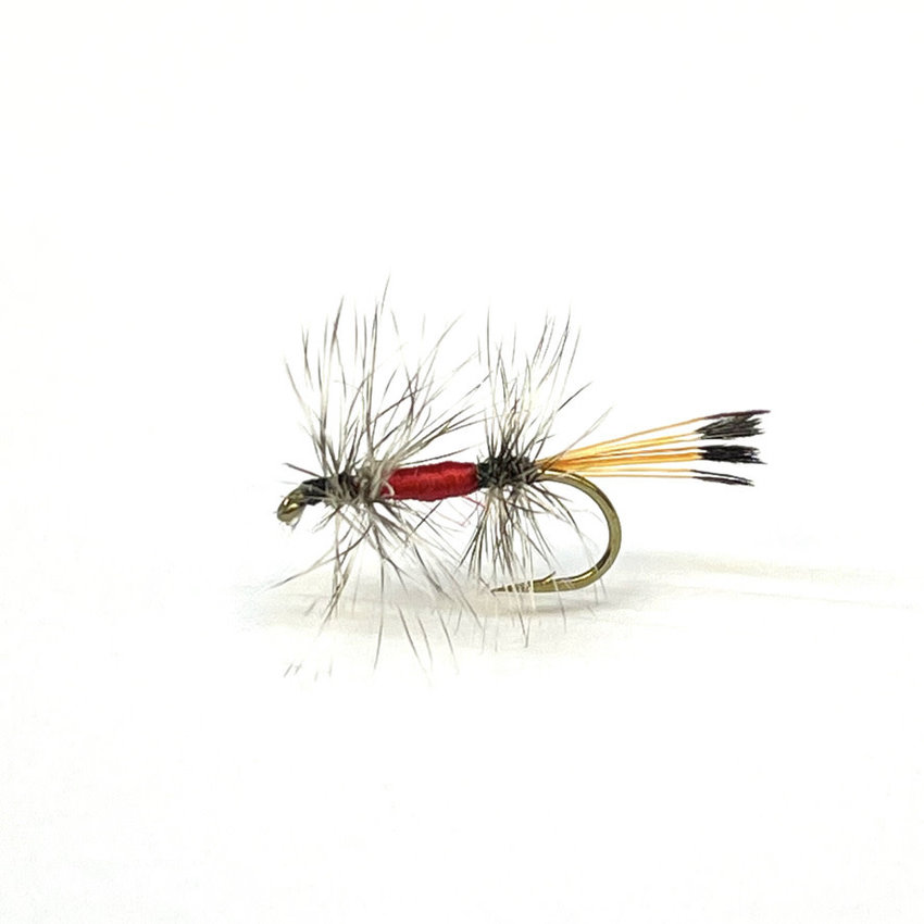 Latest Fly Fishing News and Reports - Crandall's Provider - Royal Treatment Fly  Fishing