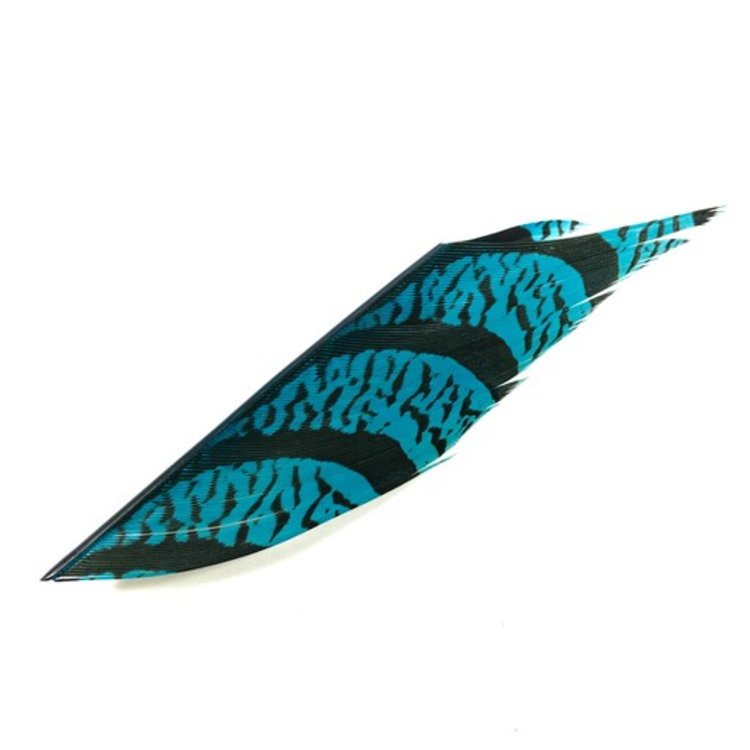 Nature's Spirit Lady Amherst Tail Section