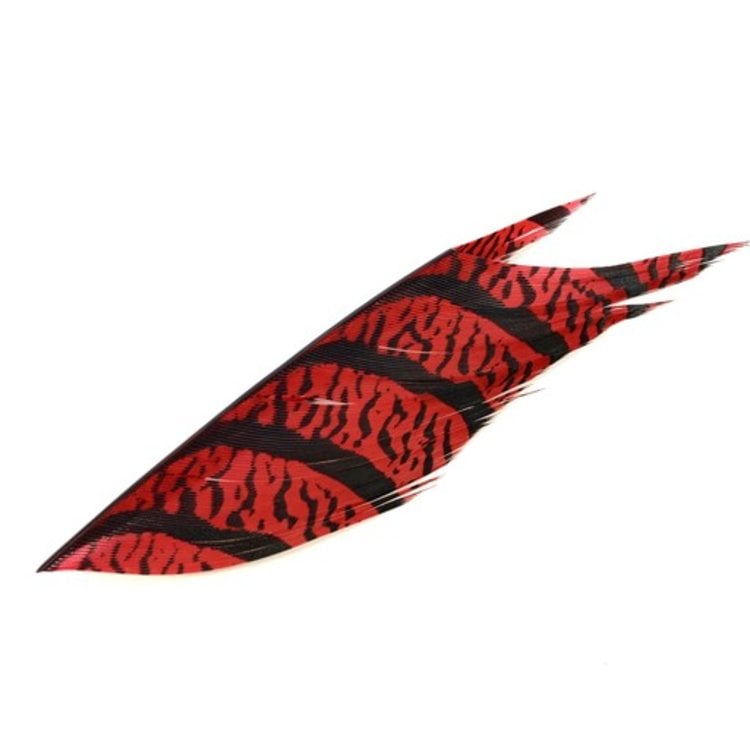 Nature's Spirit Lady Amherst Tail Section