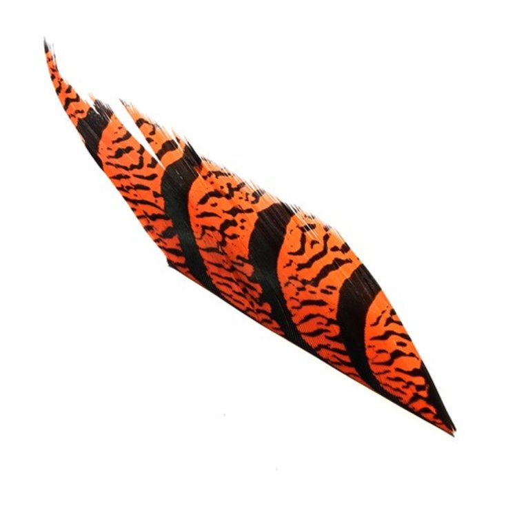 Nature's Spirit Lady Amherst Tail Section