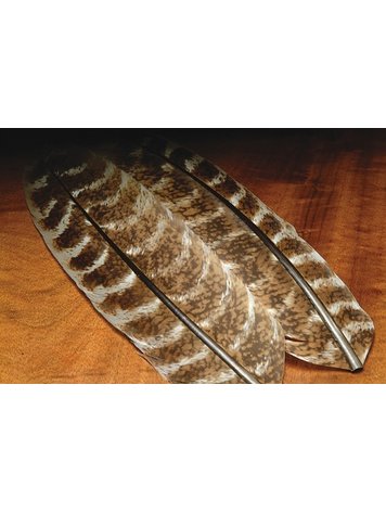 Hareline Ozark Mottled Oak Turkey Quills-Pair