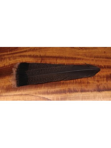 Hareline Cinnamon Tipped Turkey Tail Feathers-Pair