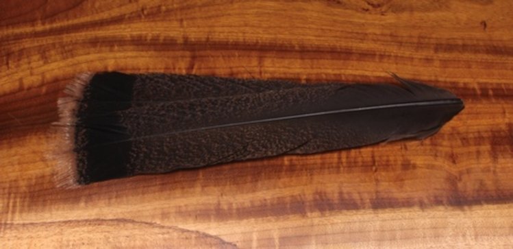 Hareline Cinnamon Tipped Turkey Tail Feathers-Pair