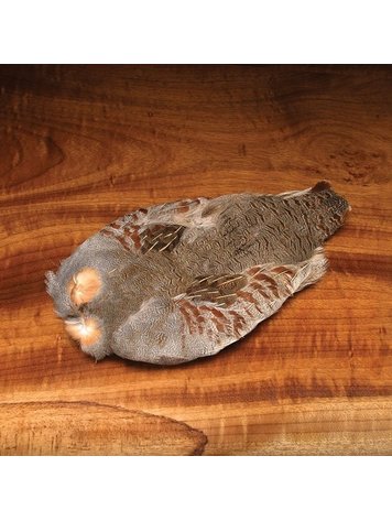Hareline Hungarian Partridge Skin
