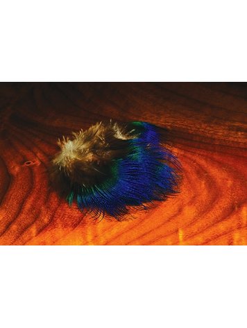 Hareline Blue Peacock Breast feathers