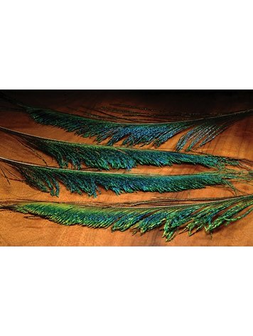 Hareline Peacock Sword