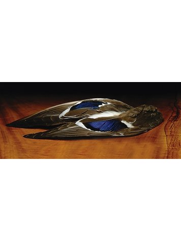 Nature's Spirit Mallard Whole Wings