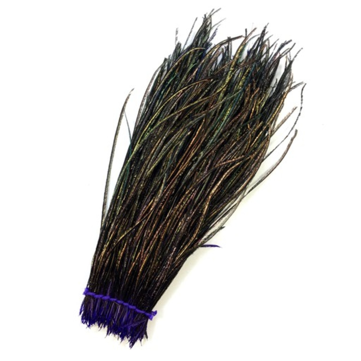 Dyed Peacock Herl | Pacific Fly Fishers