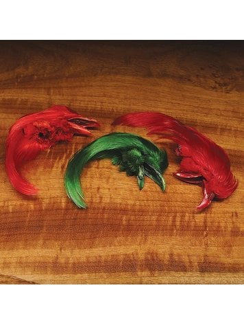 Wapsi Dyed Golden Pheasant Crest