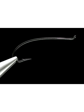 Daiichi Alec Jackson 2051