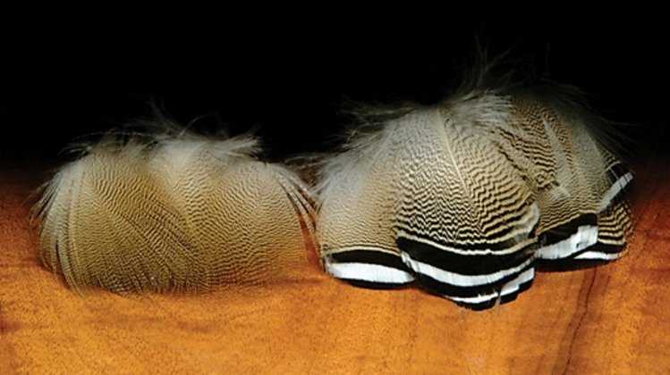 Nature's Spirit Wood Duck Feathers