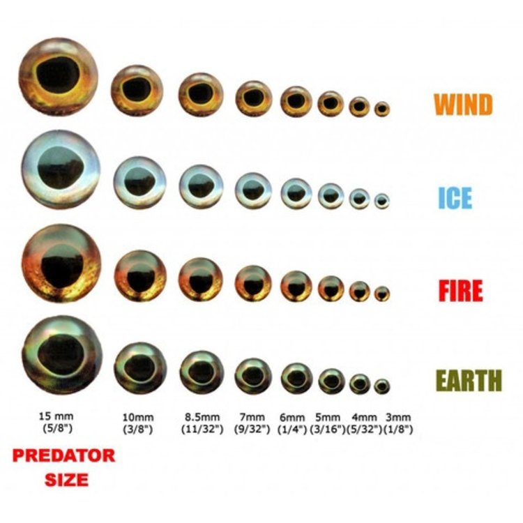 Hareline Fish Skull Living Eyes