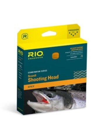 Rio Rio Scandi Shooting Head