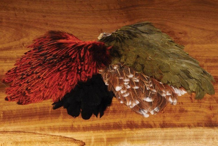 Nature's Spirit India Hen Back