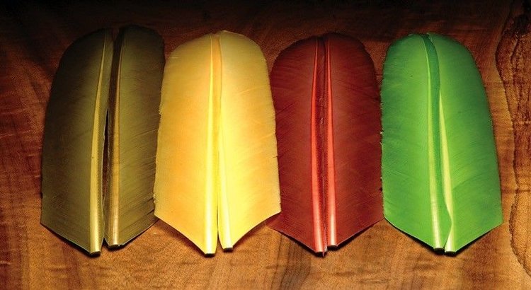 Hareline Turkey Biot Quills