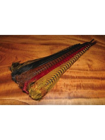 Nature's Spirit Ringneck Pheasant Tail Clump