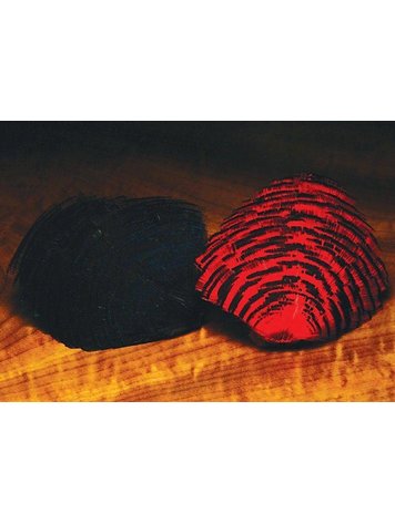 Wapsi Dyed Golden Pheasant Tippet Section