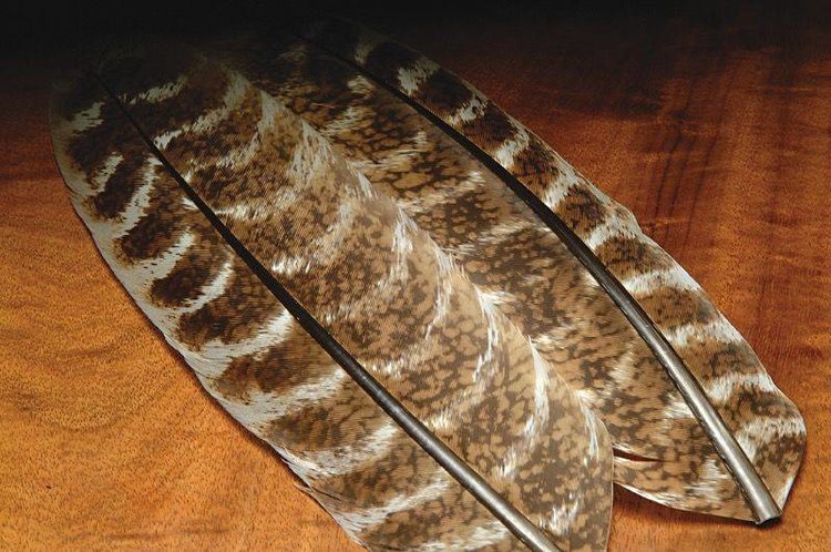 Hareline Ozark Mottled Oak Turkey Quills-Pair