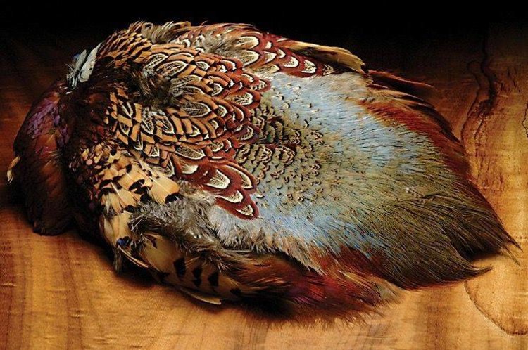 Hareline Ringneck Pheasant Skin