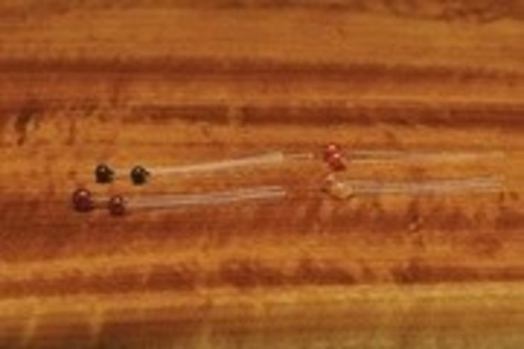 Hareline EP Crab & Shrimp Eyes