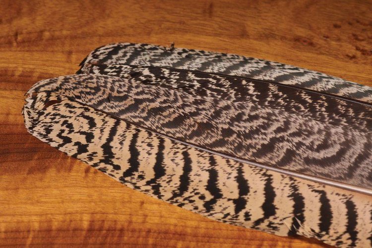 Wapsi Mottled Peacock Wing Quill