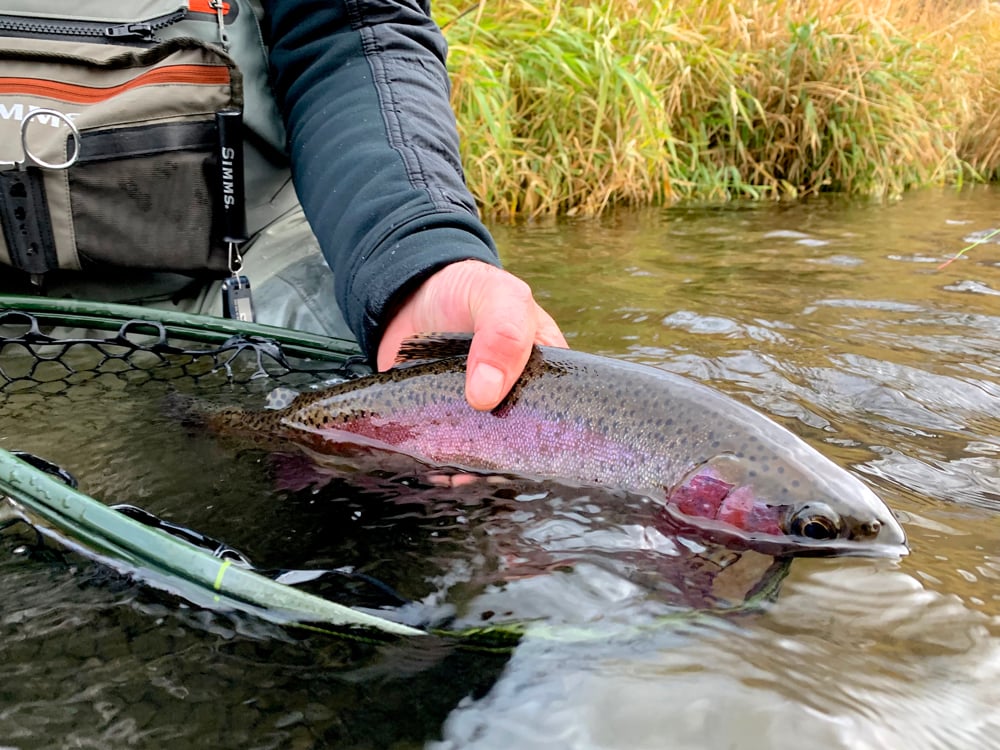 Latest Fly Fishing News and Reports - Black Friday Fish A Long
