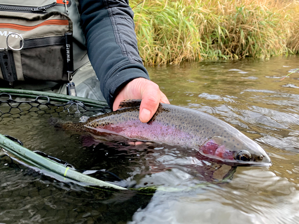 Fly Fishing Deals for Black Friday