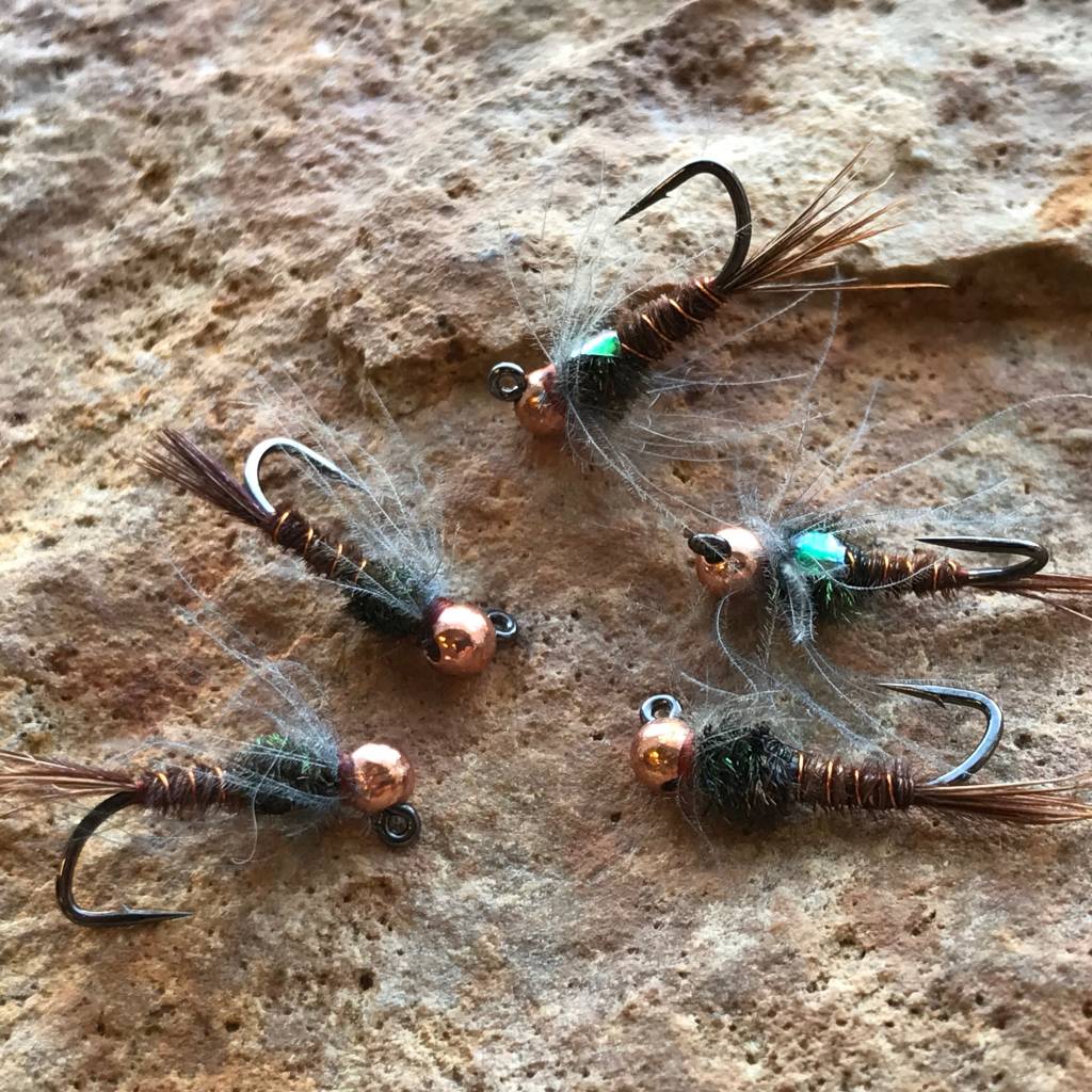 Latest Fly Fishing News and Reports - CDC Pheasant Tail Jig Nymph - Royal  Treatment Fly Fishing