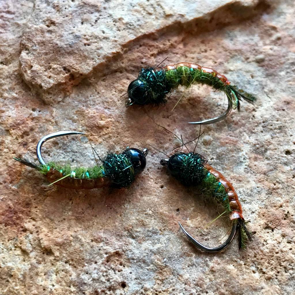 Latest Fly Fishing News and Reports - GTI Caddis - Royal Treatment