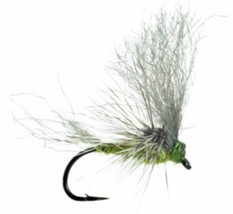 Umpqua Feather Merchants Morrish May Day