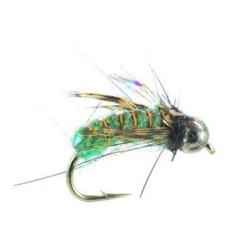 Umpqua Feather Merchants Morrish TB super Pupa
