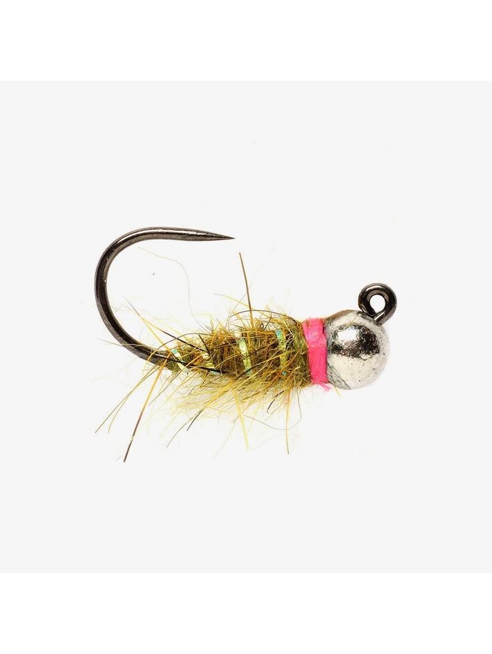  Euro Fly Fishing Fishing Flies by Colorado Fly Supply - Jiggedy  Jedi Fly Fishing Fly 3 Pack - Premium Fly Fishing Flies and Lures for Trout  - Fishing Tackle - Euro