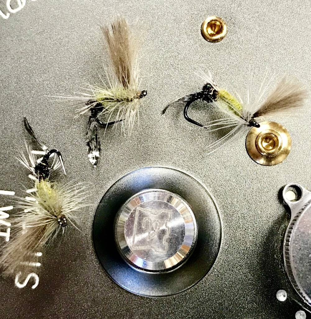 Silvey's Hatching May