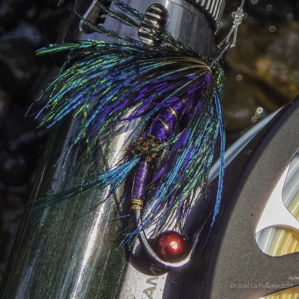 Latest Fly Fishing News and Reports - Crandall's Provider - Royal Treatment Fly  Fishing