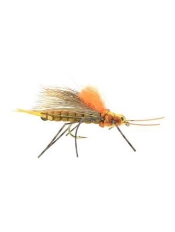 Umpqua Feather Merchants Morrish Fluttering Stone Golden Stone Sz 8