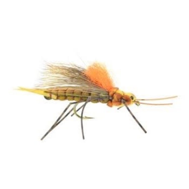 Umpqua Feather Merchants Morrish Fluttering Stone Golden Stone Sz 8