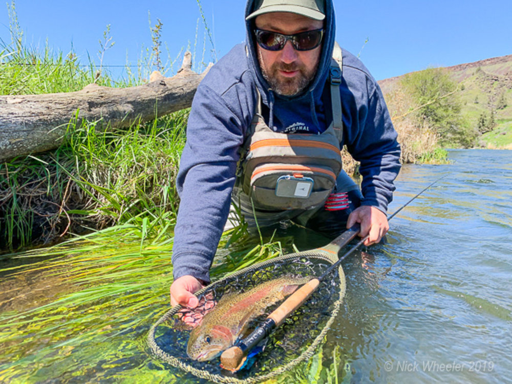 Everything Fly Fishing - Royal Treatment Fly Fishing