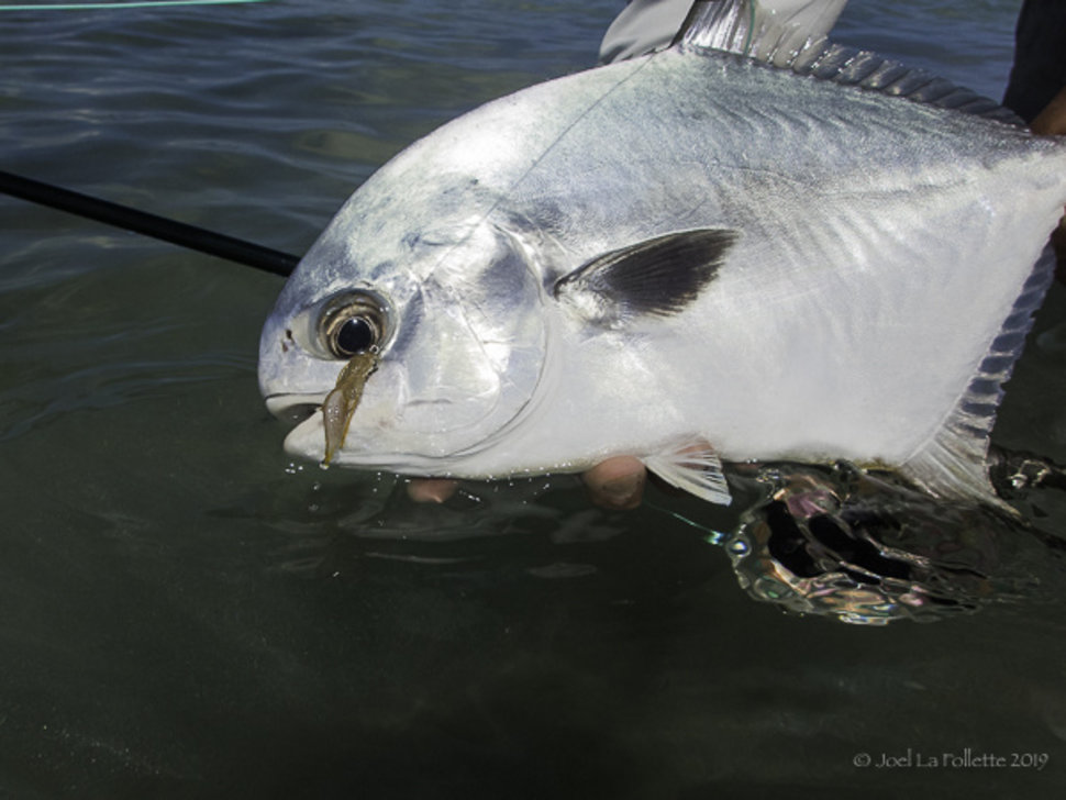 New Mexico fishing and stocking reports for May 27