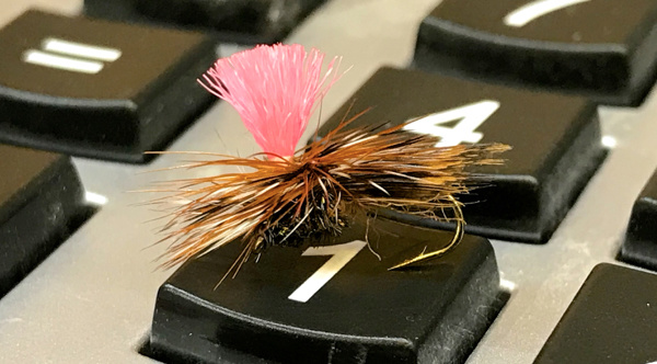 Finfetcher Caddis