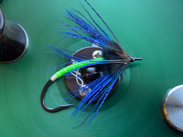 Peacock Spyder