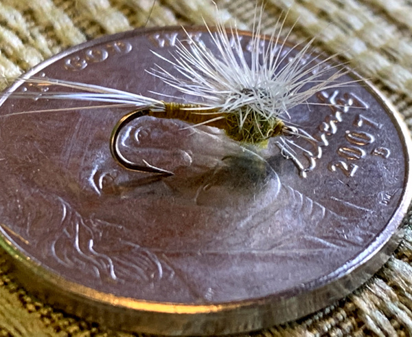 Quigley BWO Hackle Stacker