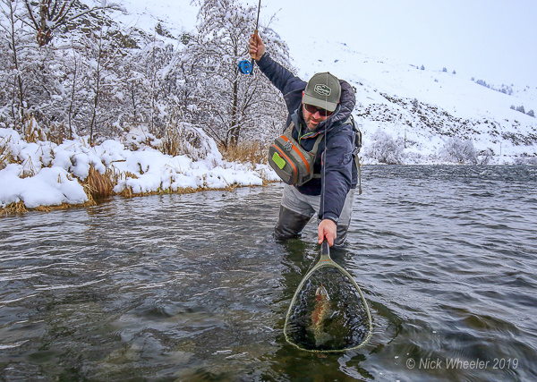 Maxima Chameleon Leader - Royal Treatment Fly Fishing