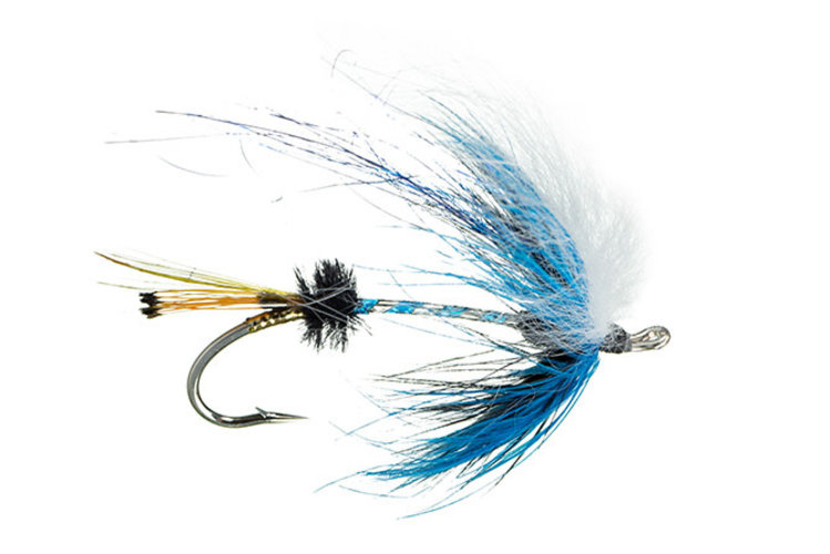 Solitude Johnson’s Outlaw