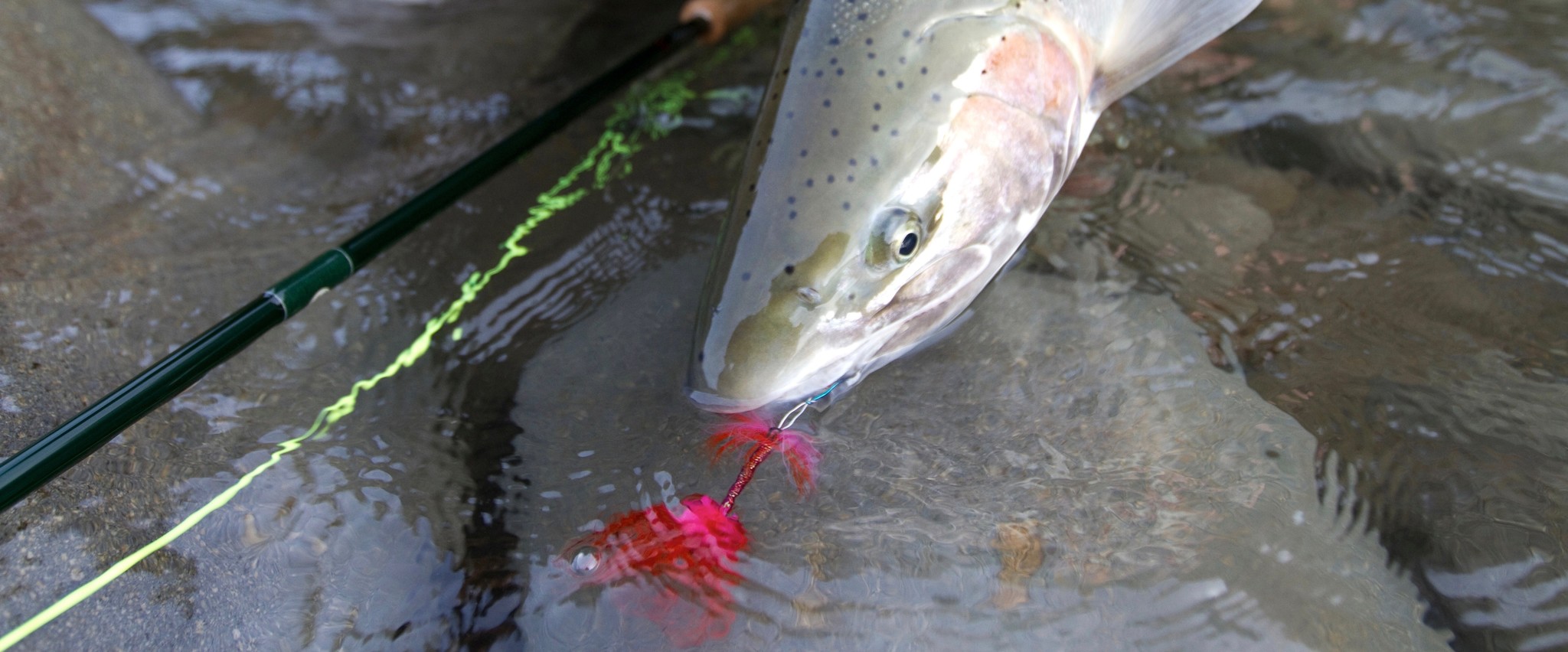 How to Tie a Stinger Hook on a Waddington Shank - Steelhead Fly Fishing -  Wet Fly Swing