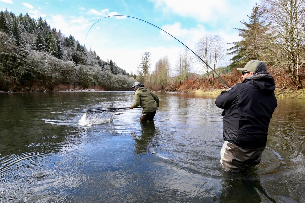 Cracking the Code: Why You're Not Catching Bass and How to Fix It