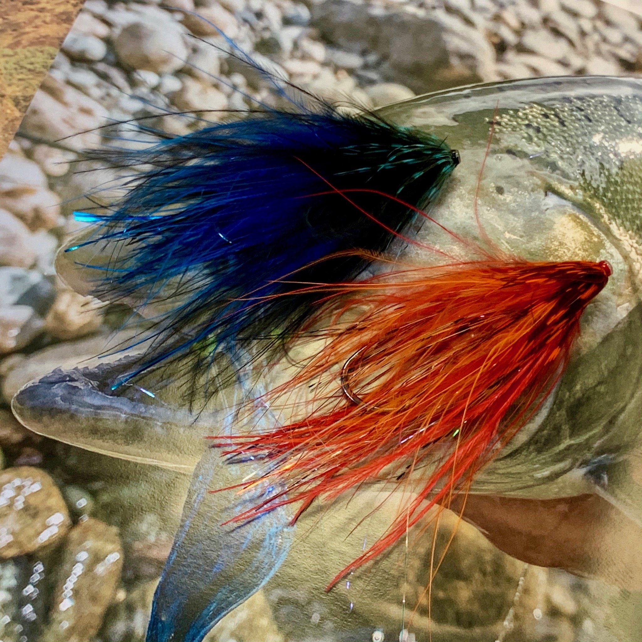 Latest Fly Fishing News and Reports - Choice Overload - Royal Treatment Fly  Fishing