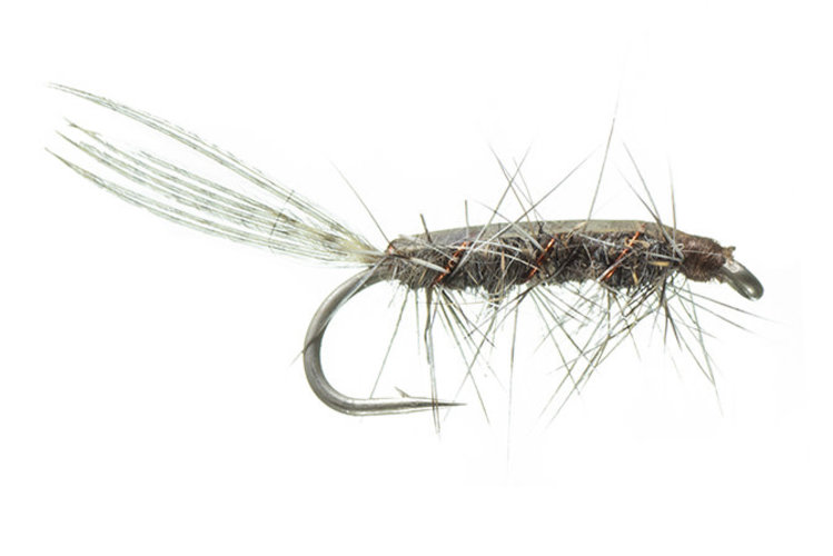 Montana Fly Co Rickards' Callibaetis Nymph - Grey 12