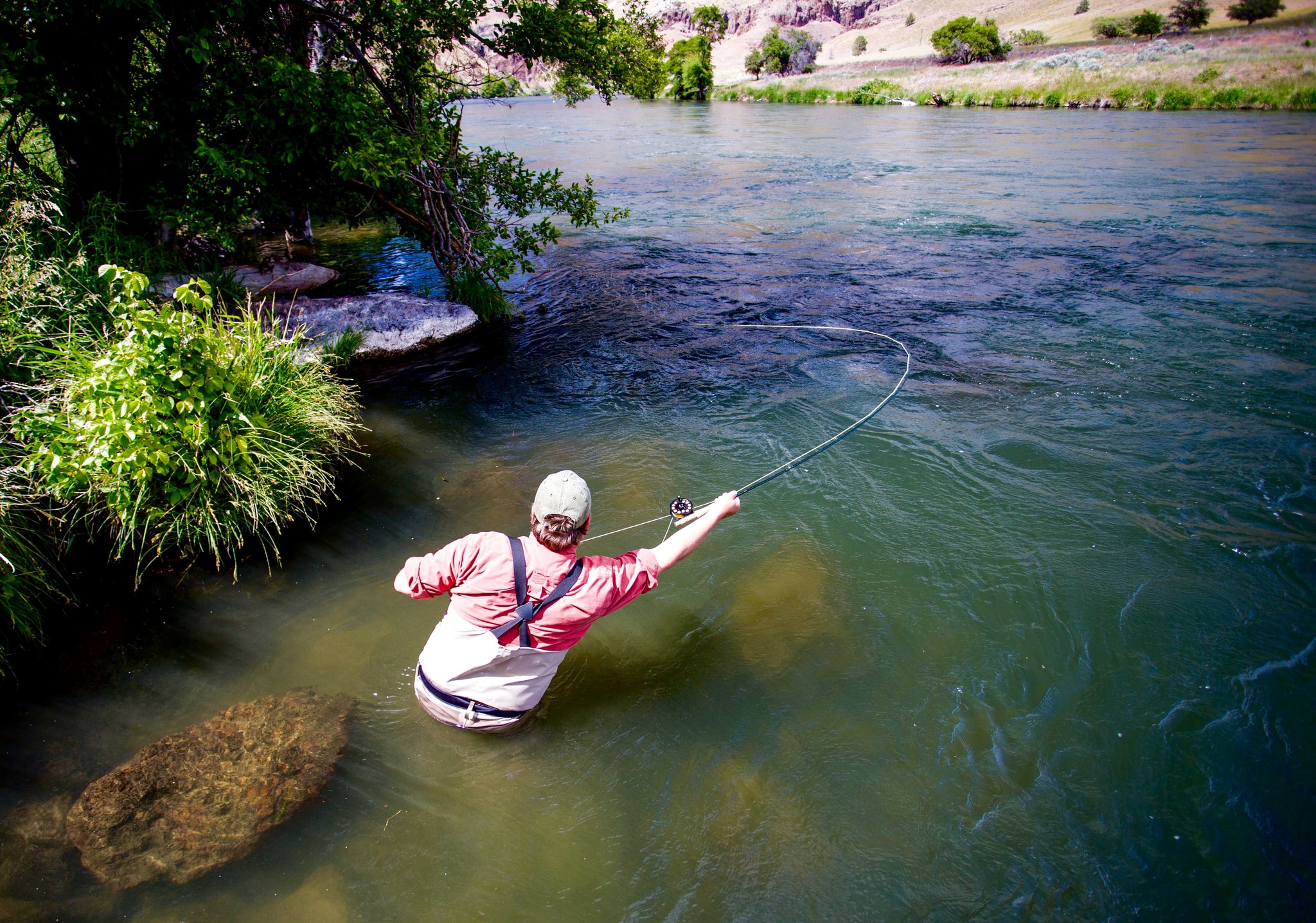 Latest Fly Fishing News and Reports - Salmonfly Survival Guide